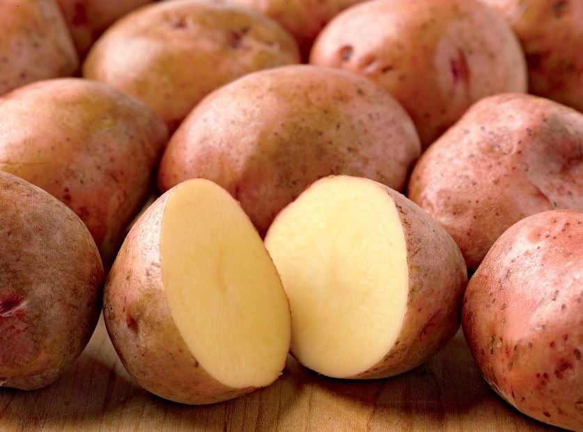 rose gold seed potatoes 