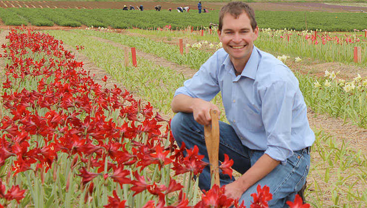 Charles in amaryllis field
