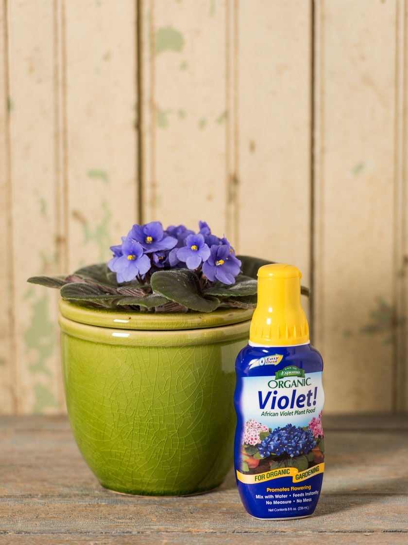 Espoma Violet! Plant Food