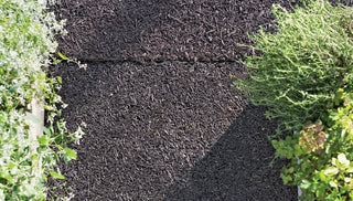 How To Control Weeds