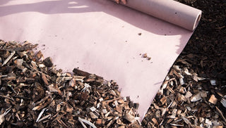 Choosing the Right Mulch for Vegetable Gardens