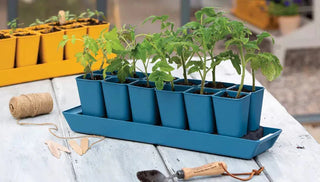 Seed-Starting Buying Guide