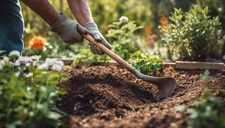 Small-Sized Secrets to Great Soil