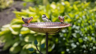Bring Birds to the Yard!