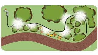 Eight Steps to a Water-Wise Garden