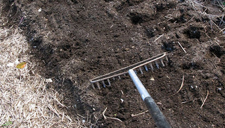 Building Healthy Soil
