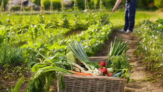 Working With Nature to Minimize Pest and Disease Problems