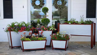 Container Gardening