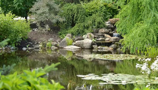 Gardening With Water Features