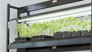 How to Garden With Grow Lights