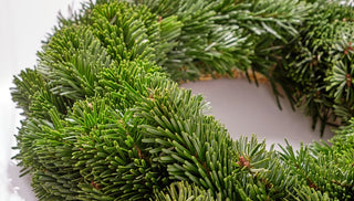 How to Keep Holiday Evergreens Fresh