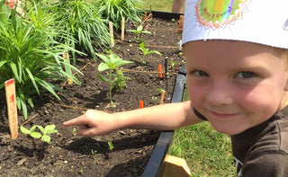 Donations: Who We Donate to and Why