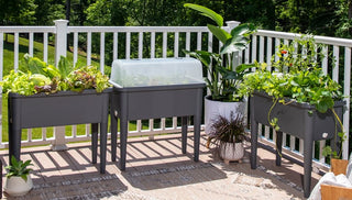 Gardening on the Deck