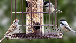 How Do YOU Support Wildlife?