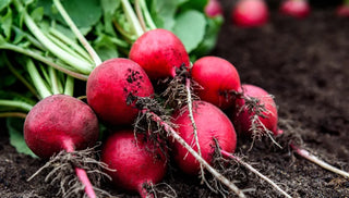 5 Easy Ways to Hurry Spring