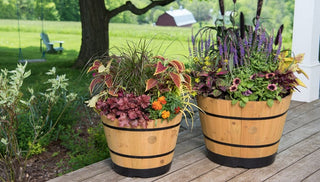 How to Design Sensational Floral Pots and Planters