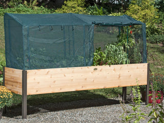 Gardening Techniques for Dry Weather