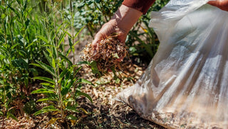 Using Shredded Leaves