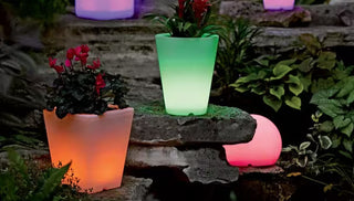 How to Choose a Solar Garden Light