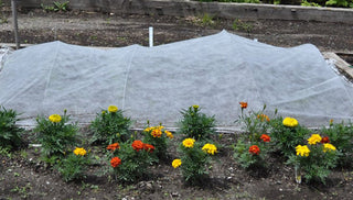 Using Garden Fabric (Row Covers)