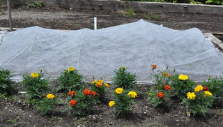 Using Garden Fabric (Row Covers)