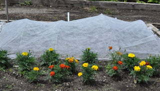 Using Garden Fabric (Row Covers)