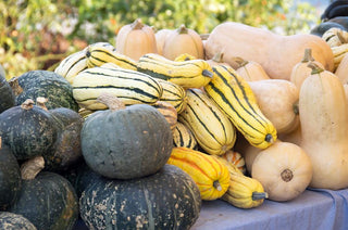 Winter Squash