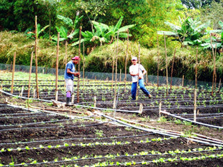 Restoring a River Valley