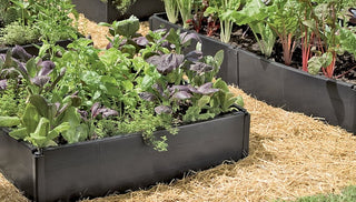 Choosing a Raised Bed