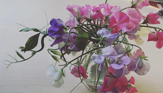 How to Grow Sweet Peas from Seed