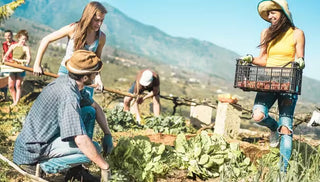 Start a Community Garden