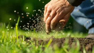 Spread the Word About Organic Lawn Care