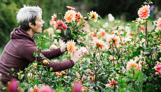 Cut Flower Garden Plans