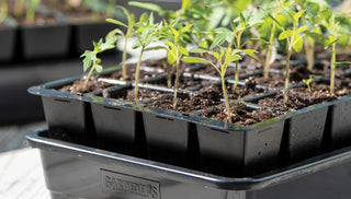 How to Select the Right Seed-Starting System