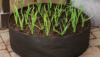 Why Our Grow Bags are Better