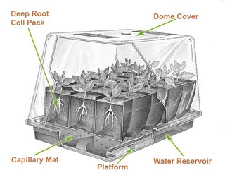 Instructions for the Deep-Root Seedstarting System