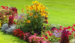 Filling Gaps in the Flower Garden