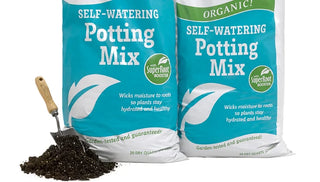 How to Choose Potting Soil