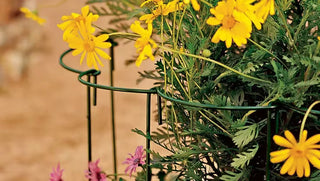 How to Choose Flower Supports