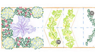 Planting Plans for Elevated Raised Beds