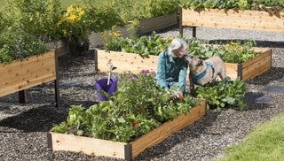Everything You Need to Know About Gardening in Raised Beds