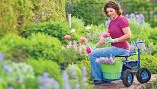 Growing Older, Growing Smarter