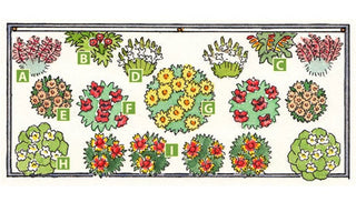 Design a Blooming Container for Butterflies