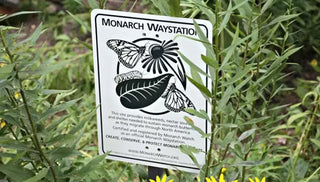 Create a Monarch Waystation