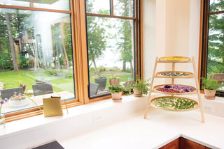 How to Freeze or Dry Herbs