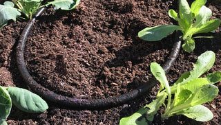 Dive Into the Snip-N-Drip Soaker System
