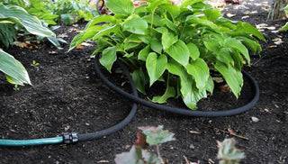 Watch: the Snip-n-Drip Landscape Soaker System