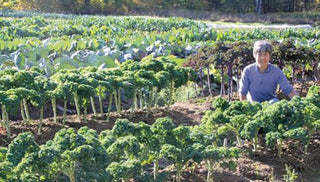 Make Room For Kale