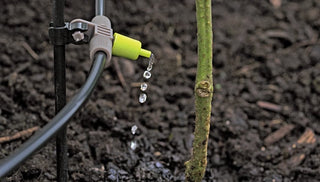 Soak, Drip or Spray: How to Choose a Watering System