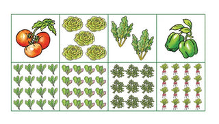 Plans for Small-Space Vegetable Gardens